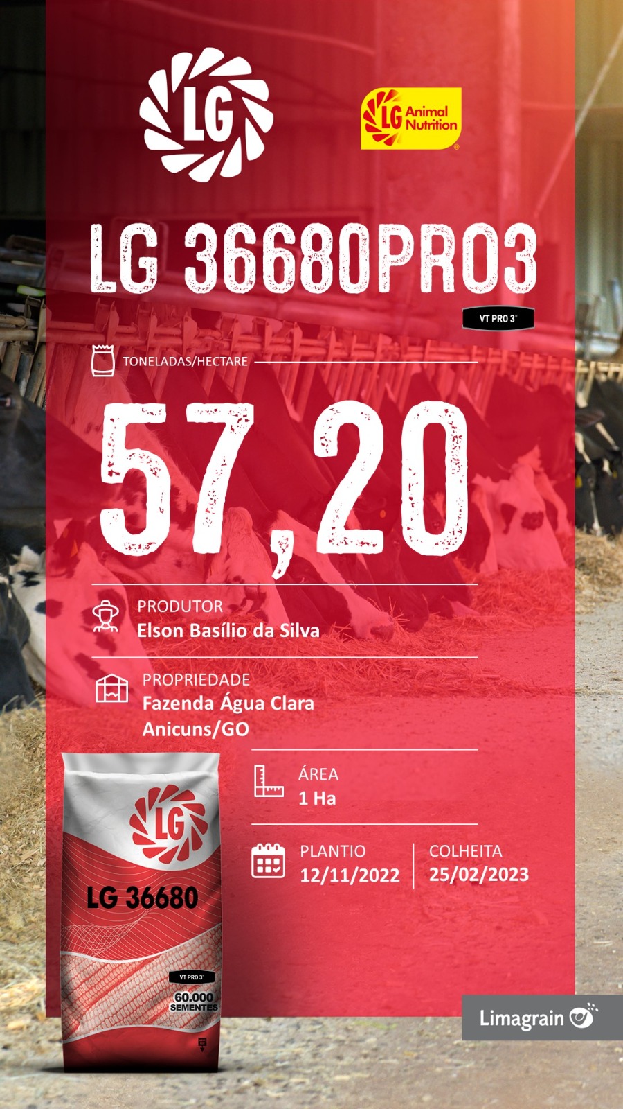 resultado-de-produtividade-lg-36680